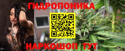 шишки Северобайкальск