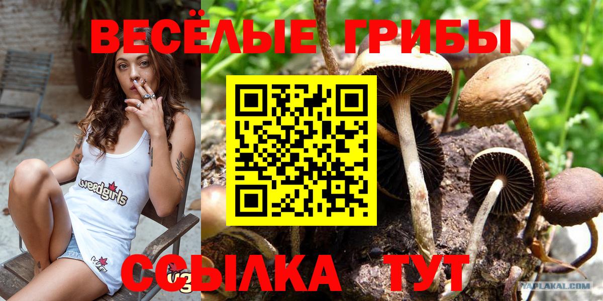 Галлюциногенные грибы MAGIC MUSHROOMS Псков
